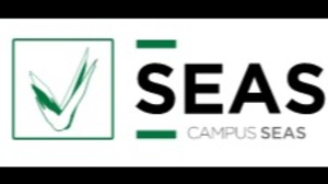 SEAS, formación online bonificada