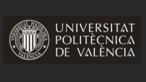 Universitat Politecnica de Valencia