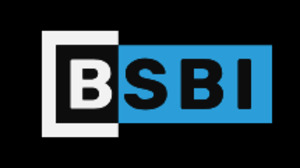 Berlin School of Business and Innovation BSBI