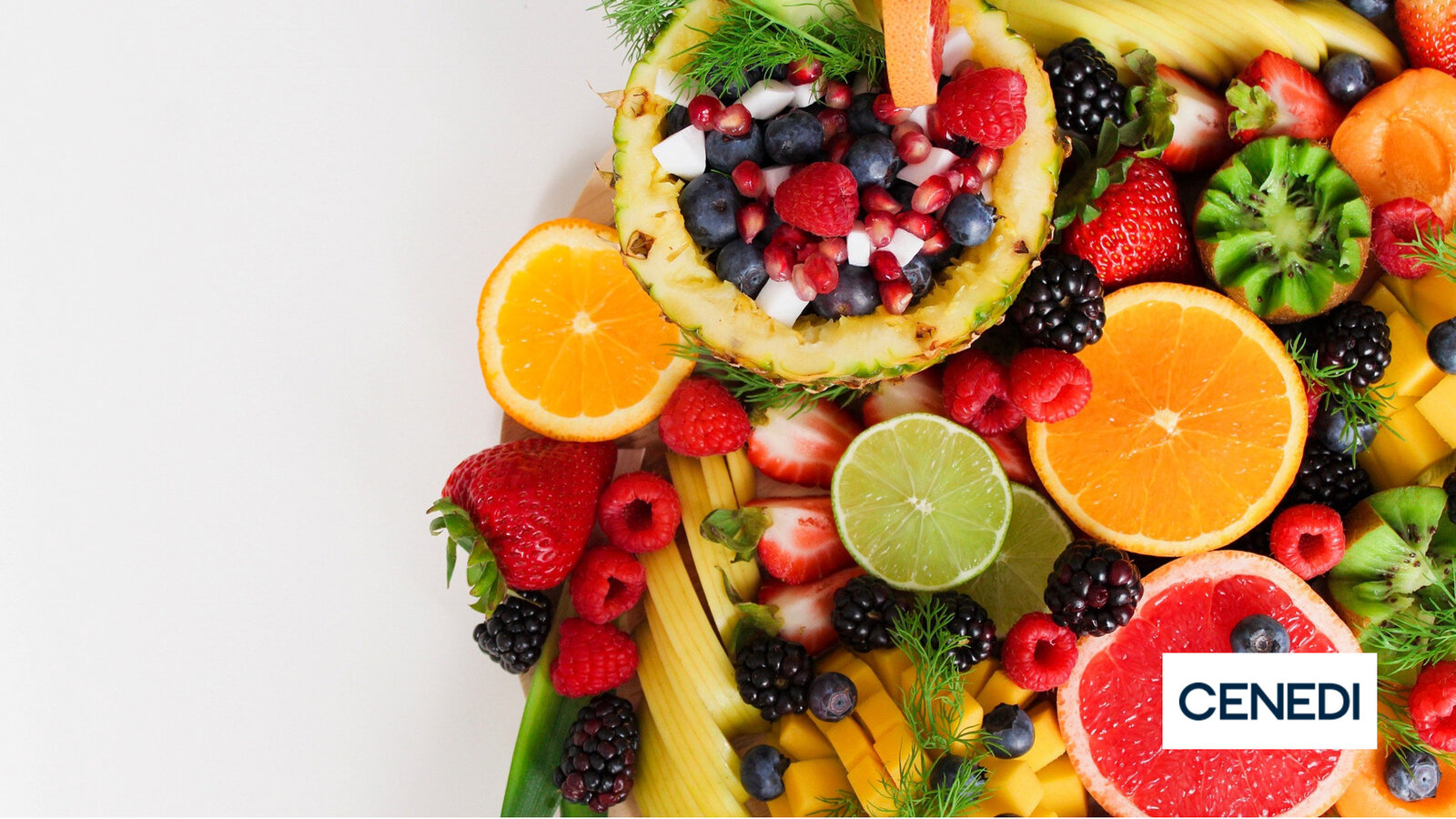 TÉCNICO SUPERIOR EN DIETÉTICA