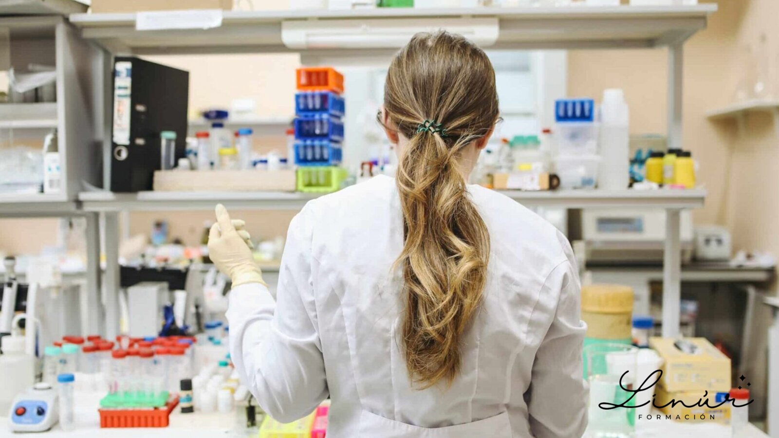 Curso Técnico en Farmacia y Parafarmacia
